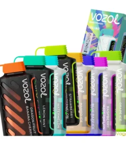 Acheter VOZOL Gear Power 20000