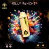 Ace Jelly Rancher Vape Premium 2g