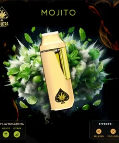 Acheter Ace Mojito Disposable Vape